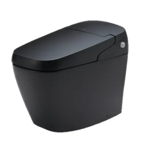 Bồn Cầu Thông Minh INAX AC-G216VN/BKG Màu Đen Bồn Cầu Thông Minh