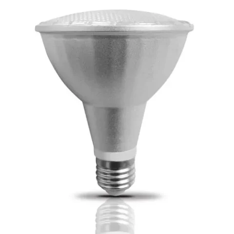 Bóng đèn LED Rạng Đông 5W  (LED PAR  30N/5W)