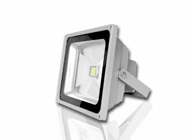 Đèn LED Chiếu pha 20W - D CP01L/20W Rạng Đông