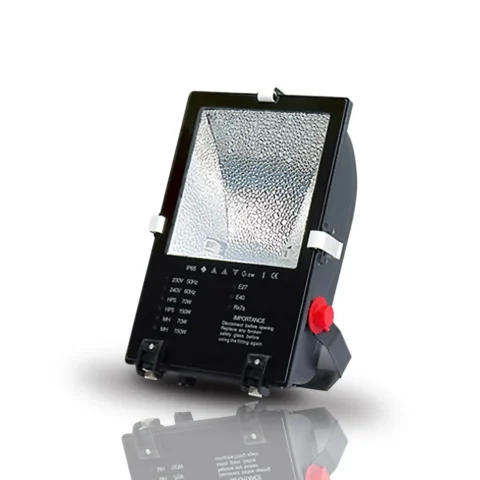 Chao đèn cao áp Chiếu pha C MH 01 R7s Rạng Đông