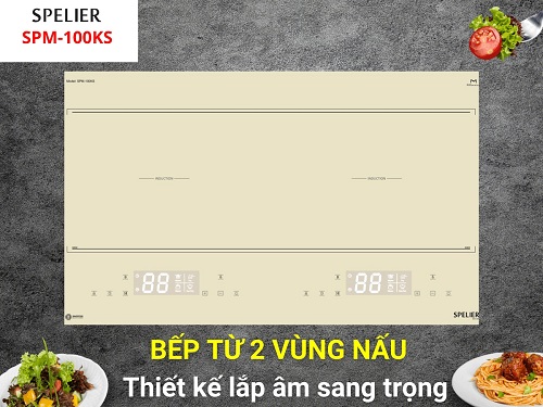 bep-tu-spelier-spm-100ks-3